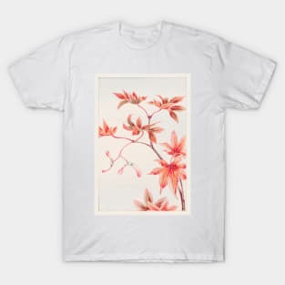 Momiji Maple Tree With Leaves And Seeds by Megata Morikaga T-Shirt